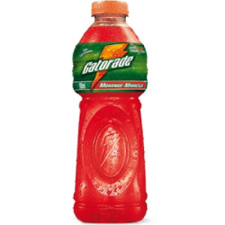 ISOTÔNICO MORANGO E MARACUJÁ GATORADE GARRAFA 500ML