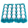 OVOS AFS TIPO EXTRA BRANCO C/20 PVC