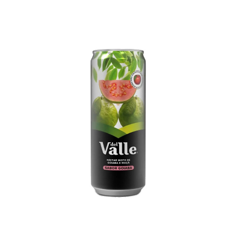 NÉCTAR GOIABA DEL VALLE LATA 290ML