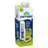 BEBIDA LÁCTEA UHT ABACATE ZERO LACTOSE PARMALAT WHEYFIT CAIXA 250ML