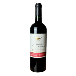 VH.CHL.CONDOR MILLAMAN CAB/SAU.