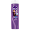 SHAMPOO INFANTIL TIANA SEDA JUNTINHOS CRESPOS ENCANTADOS FRASCO 300ML