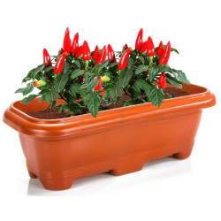 ERCA FLOREIRA CERAMICA 3L REF:1377