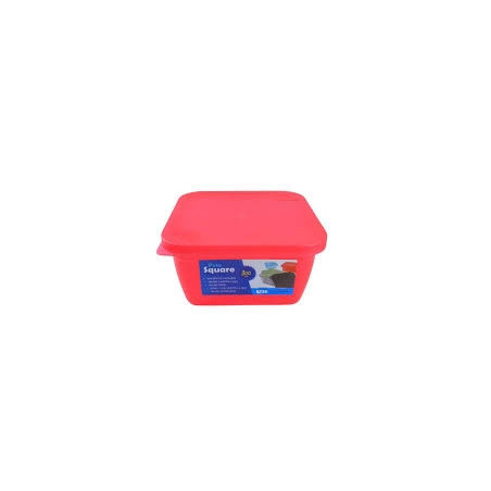 ORGANIZADOR SQUARE 800ML TRANSLUCIDO SORTIDAS REF: 1029 - AZZU