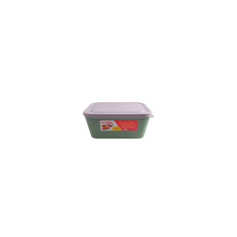 ORGANIZADOR GULL 1000ML CORES SORTIDOS REF: 6062 - AZZU