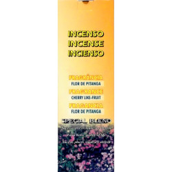 INCENSO HINDUS FLOR DE PITANGA 1UN