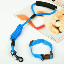 GUIA 0,8CM COLOR PARA PETS ZN0934
