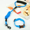 GUIA 0,8CM COLOR PARA PETS ZN0934