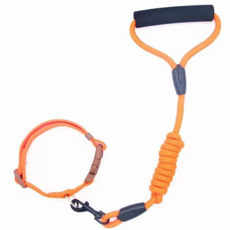 GUIA 0,8CM COLOR PARA PETS ZN0934