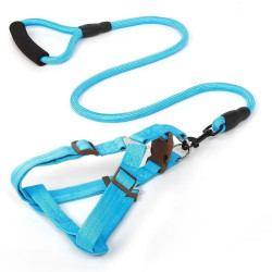 GUIA COLOR PARA PETS ZN0063