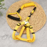 GUIA COLOR PARA PETS ZN0063
