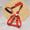 GUIA COLOR PARA PETS ZN0063