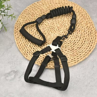 GUIA COLOR PARA PETS ZN0063