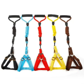 GUIA COLOR PARA PETS ZN0063