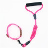 Guia Colorida para Pets Modelo ZN0057 – Estilo e Conforto para Passeios