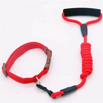 Guia Colorida para Pets Modelo ZN0057 – Estilo e Conforto para Passeios