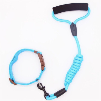 Guia Colorida para Pets Modelo ZN0057 – Estilo e Conforto para Passeios