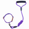Guia Colorida para Pets Modelo ZN0057 – Estilo e Conforto para Passeios