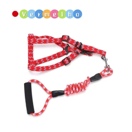 Guia Colorido para Pets ZN0060 - Estilo e Conforto para Seu Melhor Amigo!