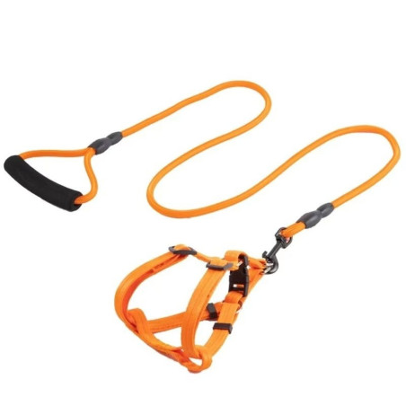 Guia Colorida para Pets - Modelo ZN0064 | Conforto e Estilo para Passeios