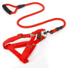 Guia Colorida para Pets - Modelo ZN0064 | Conforto e Estilo para Passeios