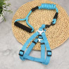 Guia Colorida para Pets - Modelo ZN0064 | Conforto e Estilo para Passeios