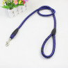 GUIA DE PETS EM3828 0,60