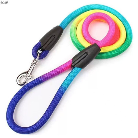 Guia para Pets 1,0 cm ZN0056 - Cores Vibrantes e Conforto para seu Pet