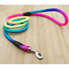 Guia para Pets 1,0 cm ZN0056 - Cores Vibrantes e Conforto para seu Pet
