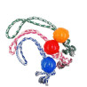 BRINQUEDO BORRACHA BOLA ZN 0866