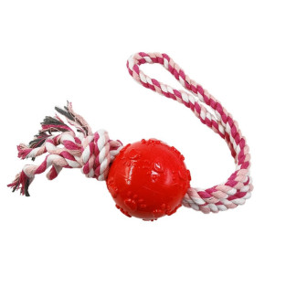 BRINQUEDO BORRACHA BOLA ZN 0866