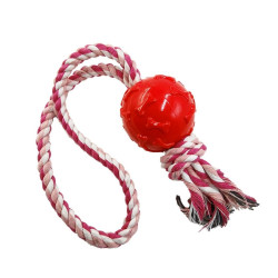 BRINQUEDO BORRACHA BOLA COM CORDA ZN 0865