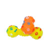 BRINQUEDO DE BORRACHA HALTERES PATA OSSO ZN0090