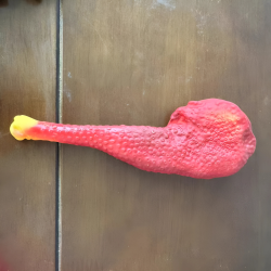 BRINQUEDO BORRACHA COXA DE PATO ZN0047