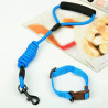 GUIA COLOR PARA PETS ZN0962
