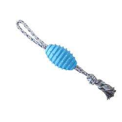 BRINQ BORRACHA BOLA C/CORDA ZN 0863