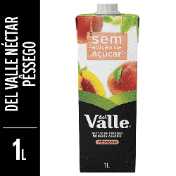 NÉCTAR PÊSSEGO DEL VALLE CAIXA 1L