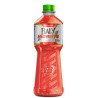 ISOTÔNICO MELANCIA BALY HIDRATE GARRAFA 500ML