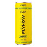 ENERGETICO BALY 250ML ABACAXI COM HORTELA