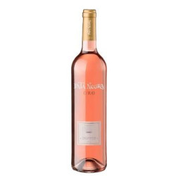 V. ESP PATA NEGRA ORO ROSE 2024
