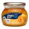 GELEIA DAMASCO LINEA VIDRO 230G