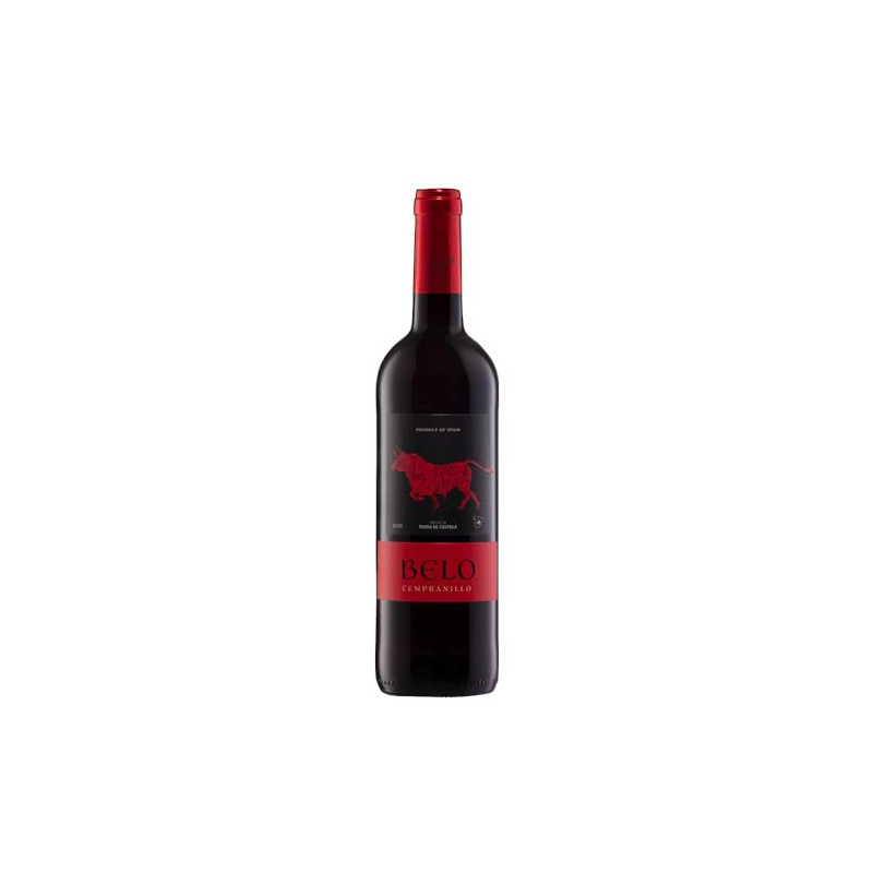 VINHO ESP BELO 750ML TEM