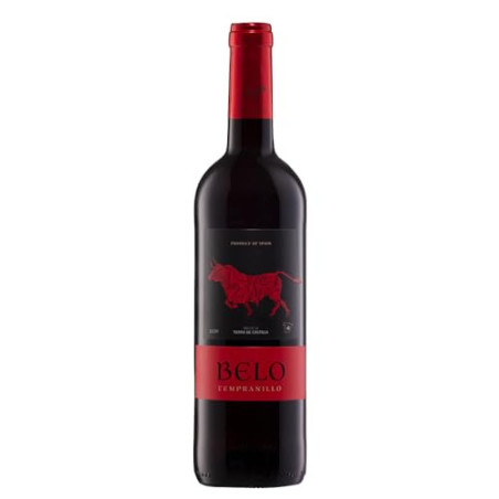 VINHO ESP BELO 750ML TEM