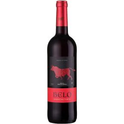 VINHO ESP BELO 750ML GAR