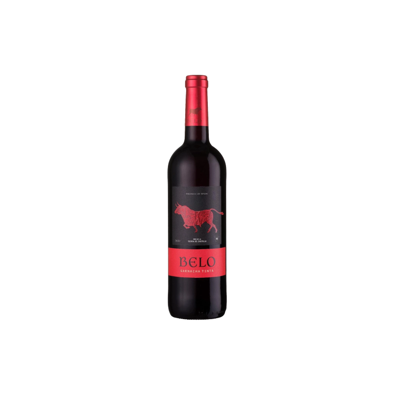 VINHO ESP BELO 750ML GAR