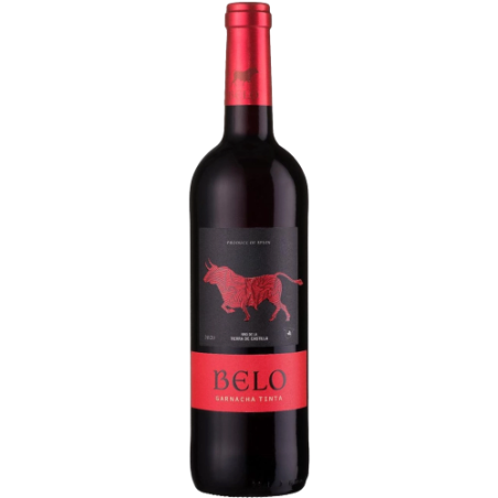 VINHO ESP BELO 750ML GAR