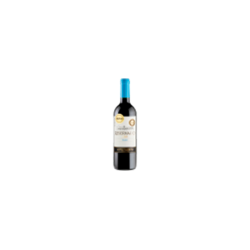 VINHO CHILENO TINTO MEIO SECO RESERVADO SANTA CAROLINA MALBEC VALLE CENTRAL GARRAFA 750ML