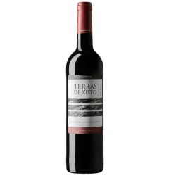 VINHO.PRT.TERRAS DE XISTO TN 750ML