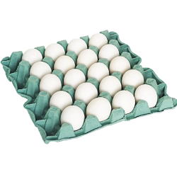 OVOS INO BRANCO C/12